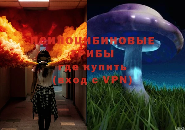 тгк Аркадак